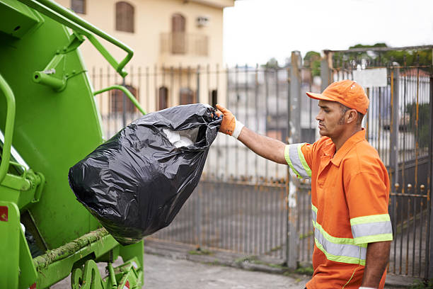 Yard Cleanup Services in Kittredge, CO